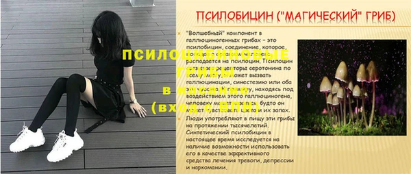 прущая мука Белокуриха
