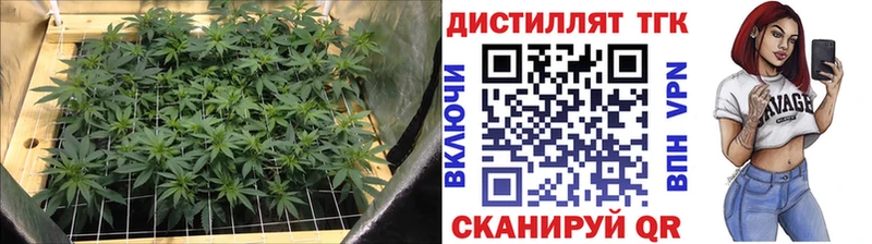 Дистиллят ТГК THC oil  мега зеркало  Новосибирск 
