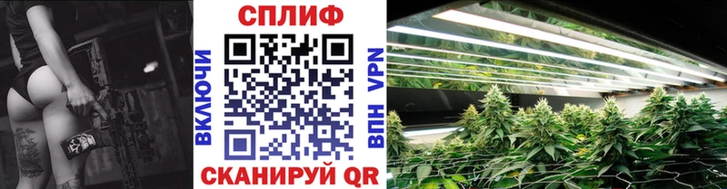 Шишки марихуана конопля  где купить наркоту  Новосибирск 